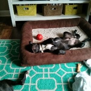 Meet your Posher, Daniel